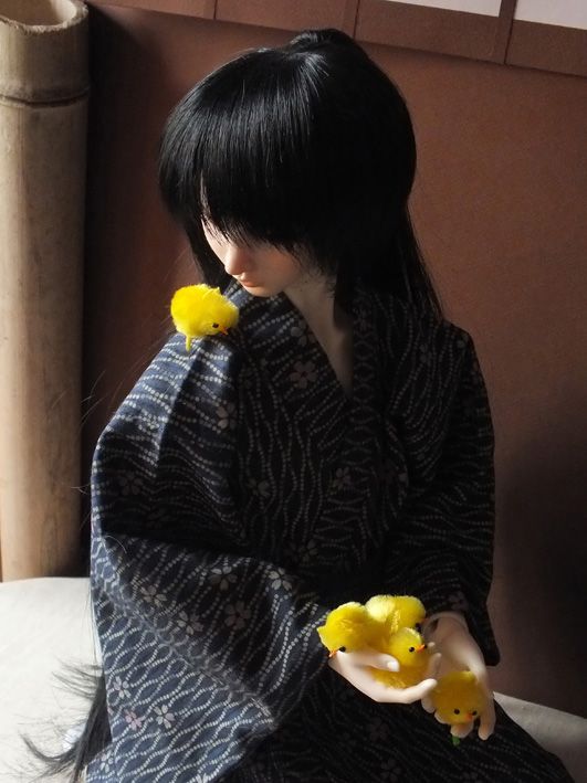 photo Hinadori_3_zps5c17a9a6.jpg