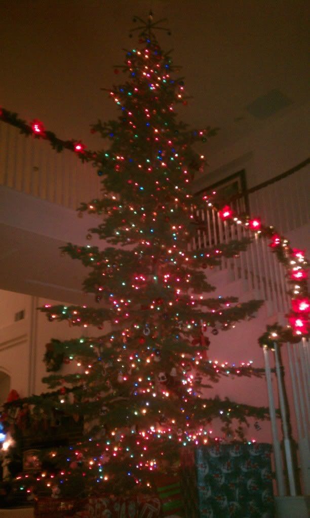 IMAG0133.jpg
