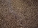 th_DSC03699Medium.jpg