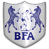 fifa fifa