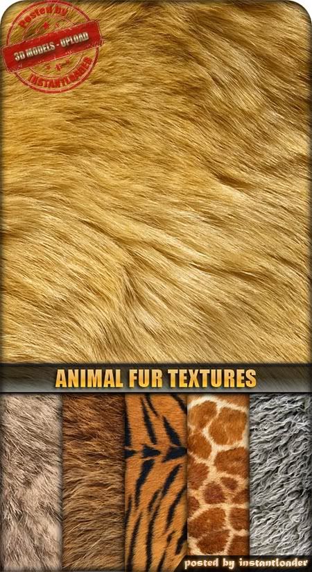 Animal Skin & Fur Textures - 3D Models Animal Skin & Fur Textures - 3D Models