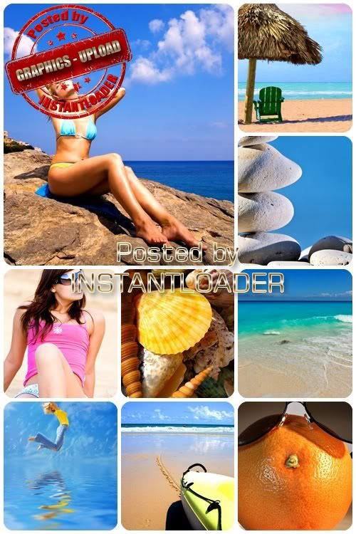 Beach Shells - Stock Images Beach Shells - Stock Images