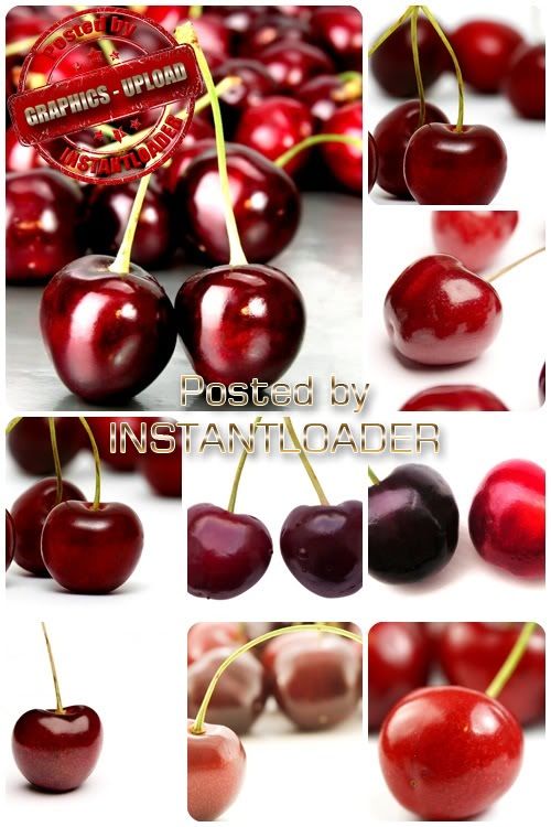 newstar cherry download