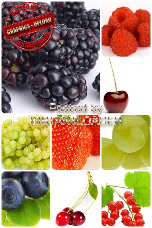 Fruits Berries - Stock Images