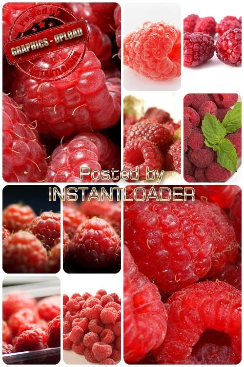 Raspberries Fruits - Stock Images