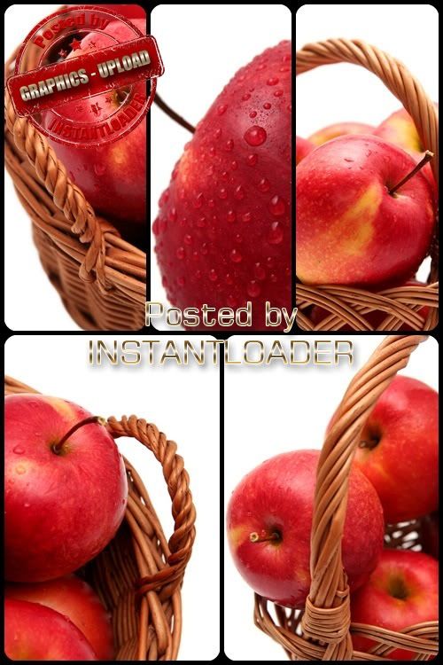 Red Apples - Stock Images
