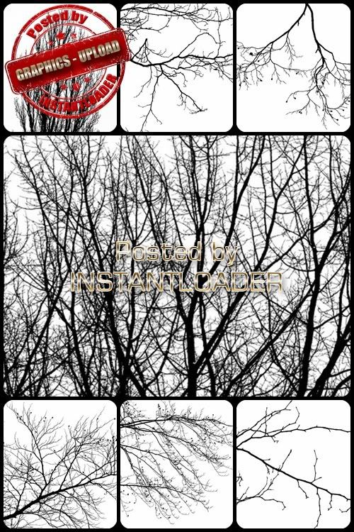 Black Branches - Textures