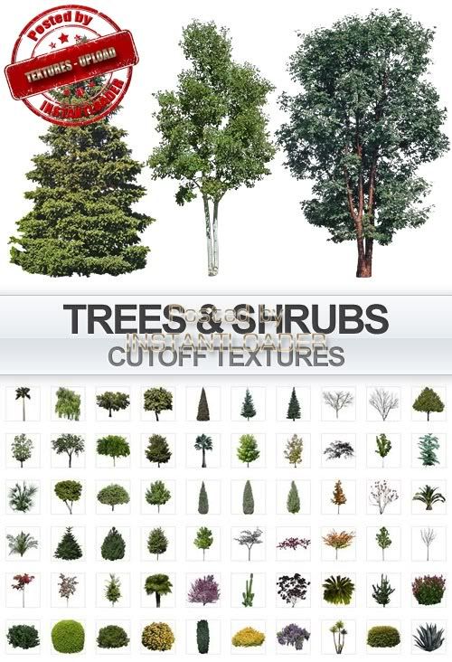 Photoshop Plan Trees