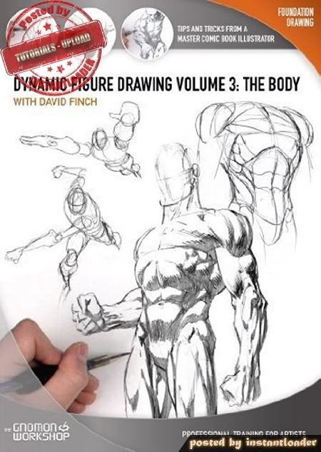 Dynamic Figure Drawing: The Body With David Finch - Tutorials