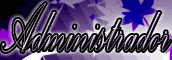 Admin Admin