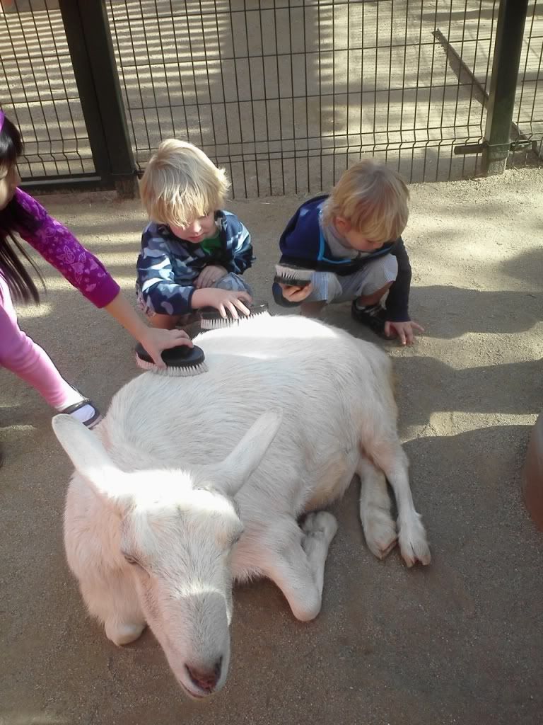 Uploaded from the Photobucket Android App