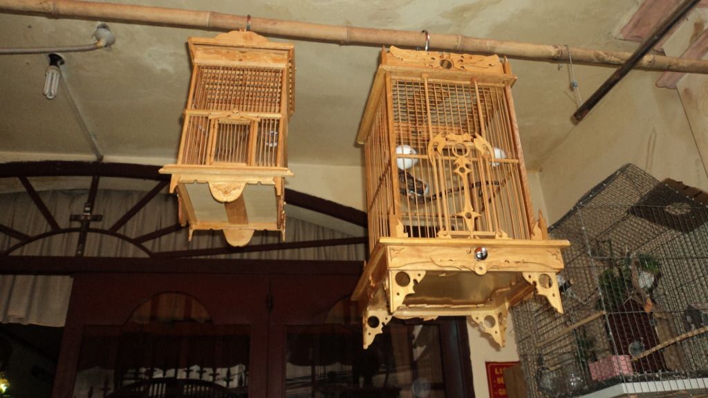 Gò Vấp thanh lý lồng chim tự chế