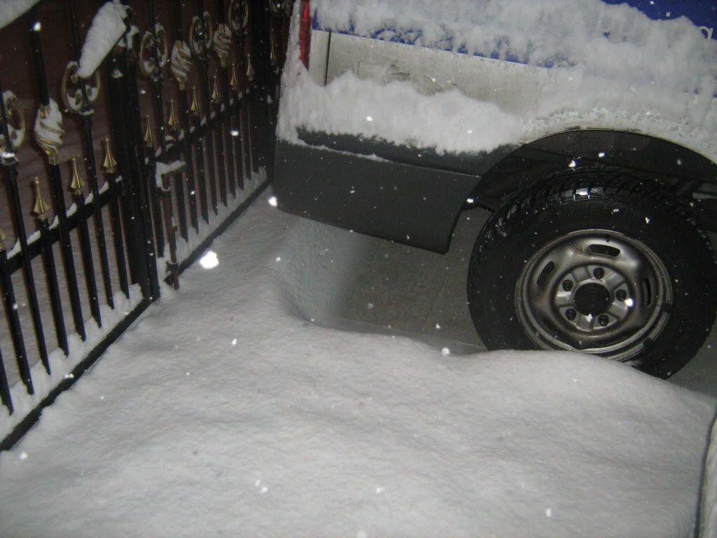 snowdec20089.jpg