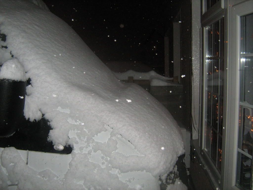 snowdec20091.jpg