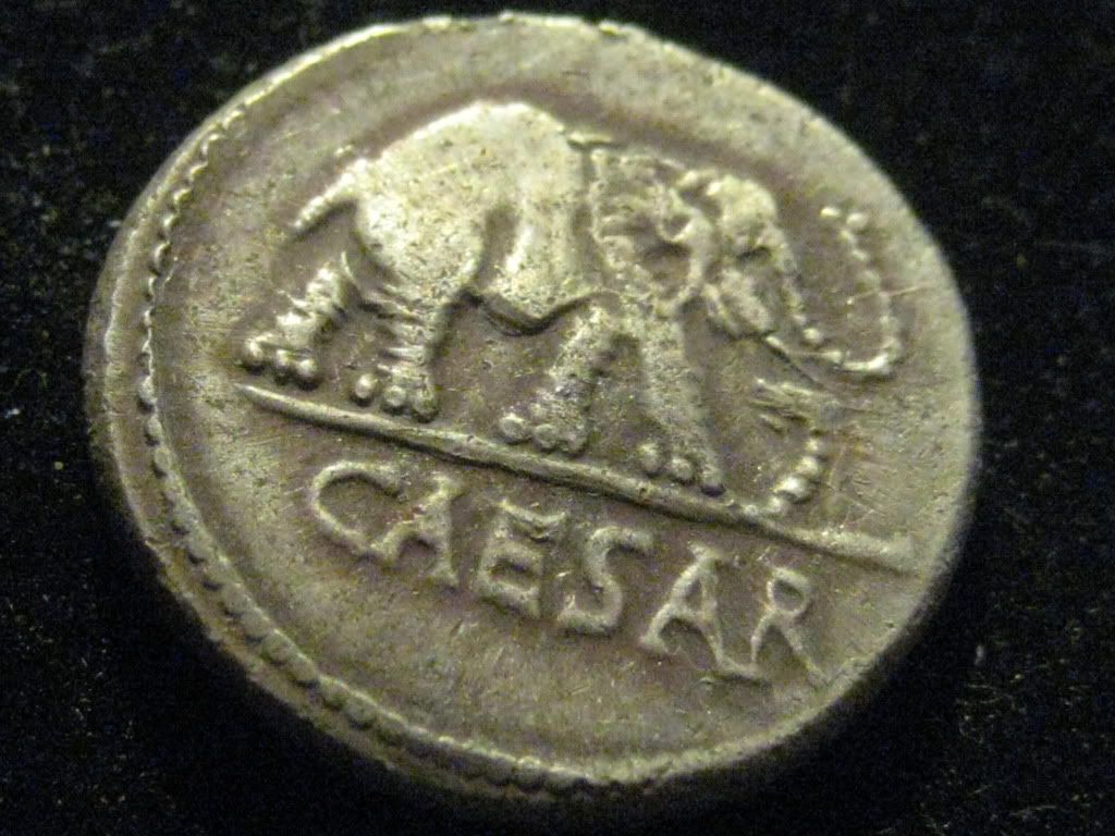 Caesar_Elephant_Obv01.jpg