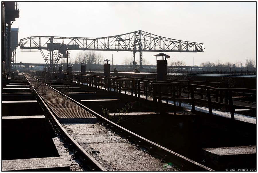 Fotografie