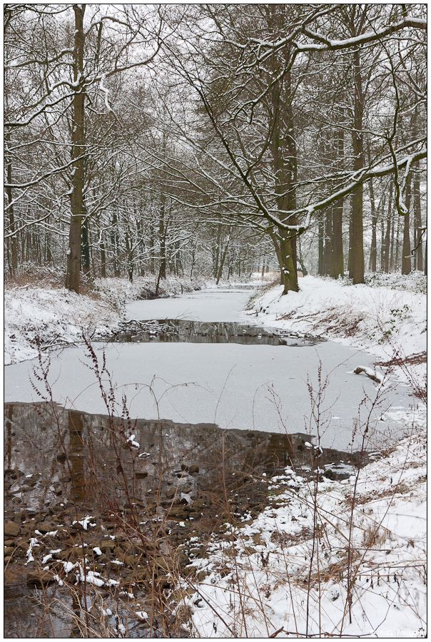 Fotografie