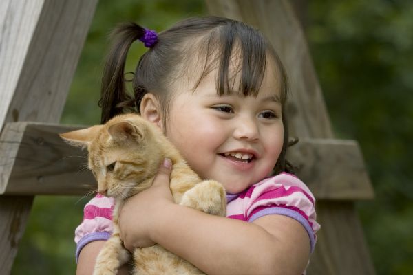cat Pictures, Images and Photos