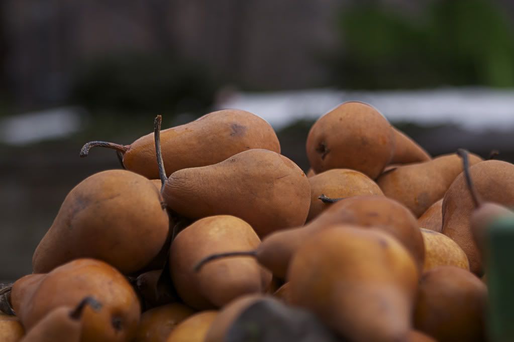 IMAGE: http://i1122.photobucket.com/albums/l534/Nelmahooch/IMG_1529.jpg