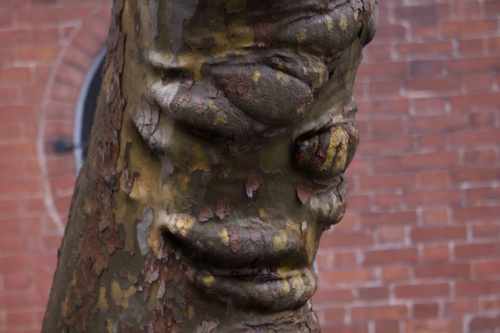 IMAGE: http://i1122.photobucket.com/albums/l534/Nelmahooch/IMG_1718.jpg