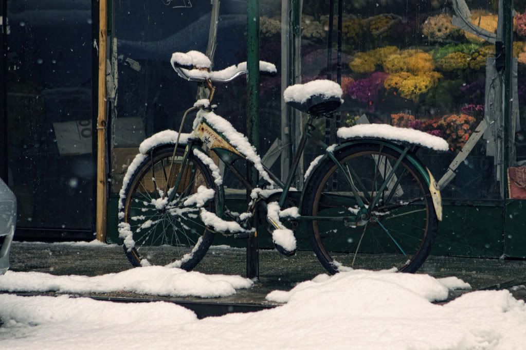 IMAGE: http://i1122.photobucket.com/albums/l534/Nelmahooch/IMG_3244.jpg