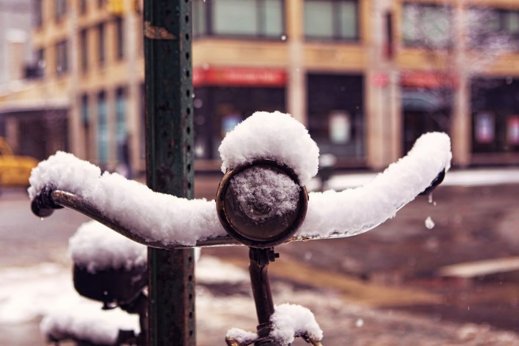 IMAGE: http://i1122.photobucket.com/albums/l534/Nelmahooch/IMG_3247.jpg