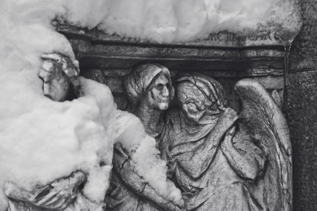 IMAGE: http://i1122.photobucket.com/albums/l534/Nelmahooch/IMG_3803.jpg