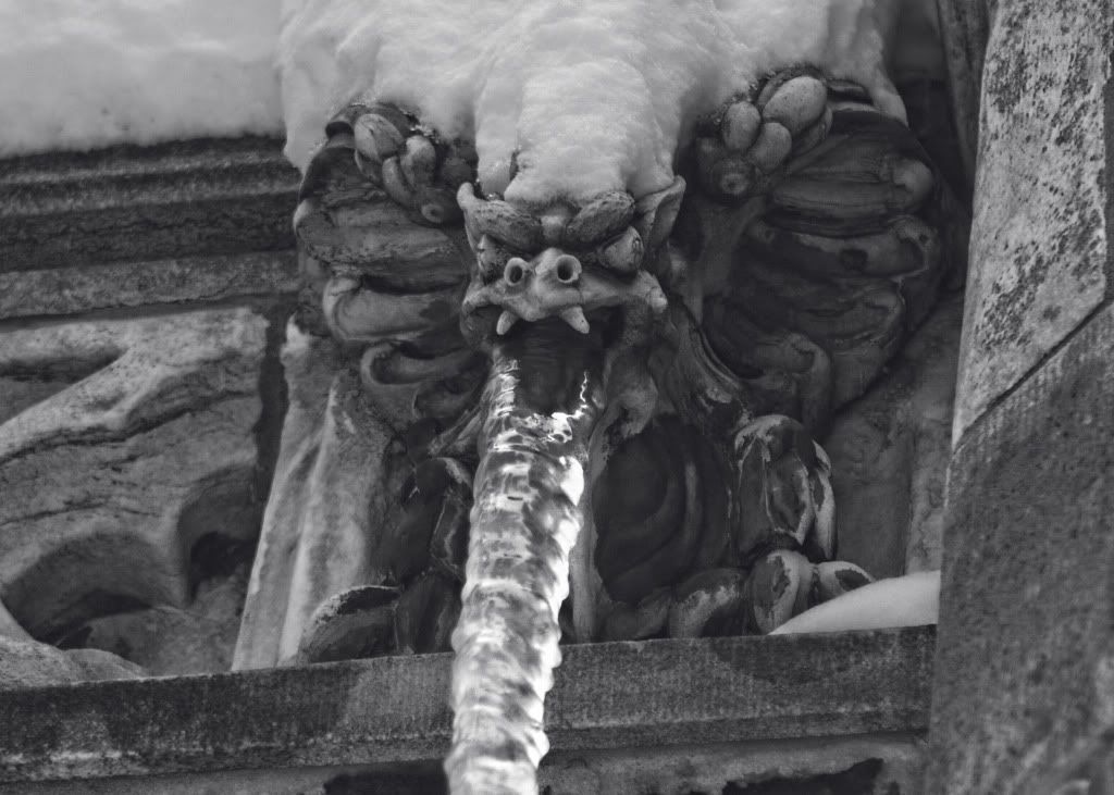 IMAGE: http://i1122.photobucket.com/albums/l534/Nelmahooch/IMG_3819.jpg