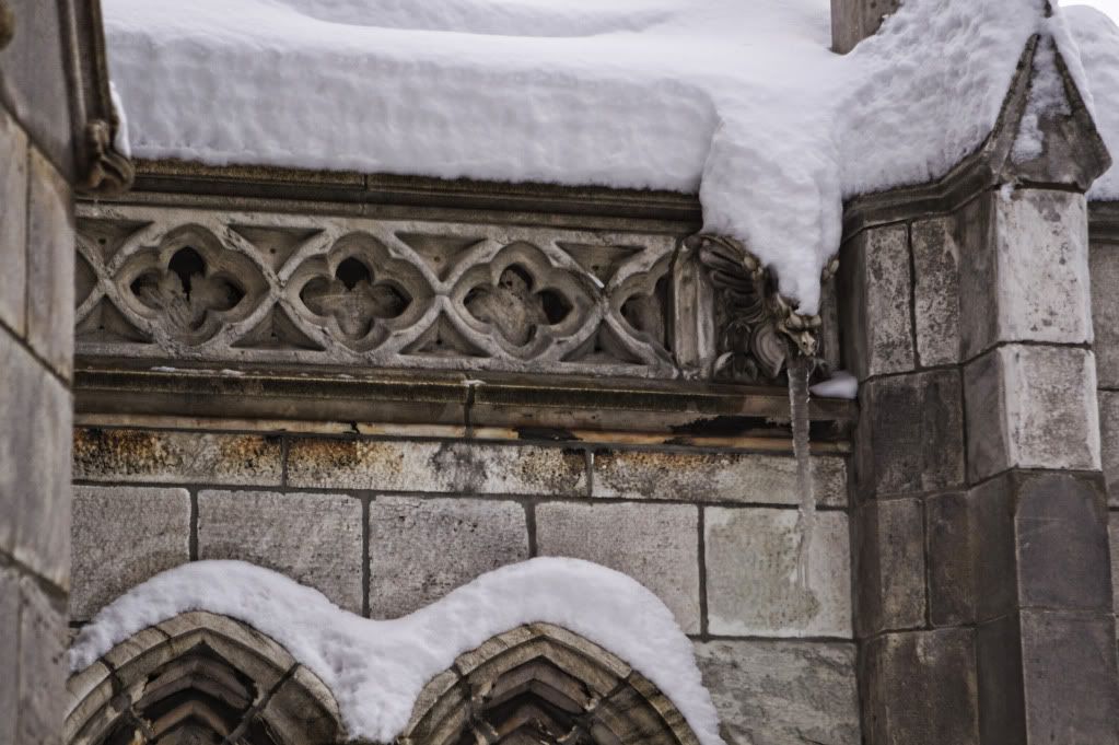 IMAGE: http://i1122.photobucket.com/albums/l534/Nelmahooch/IMG_3824.jpg