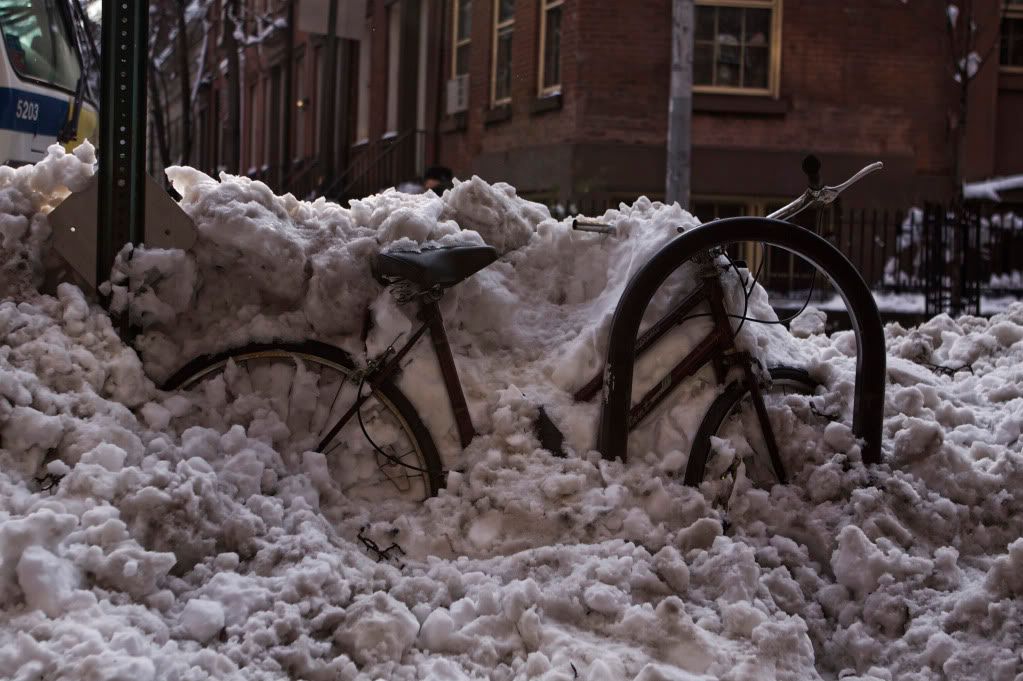 IMAGE: http://i1122.photobucket.com/albums/l534/Nelmahooch/IMG_3953.jpg