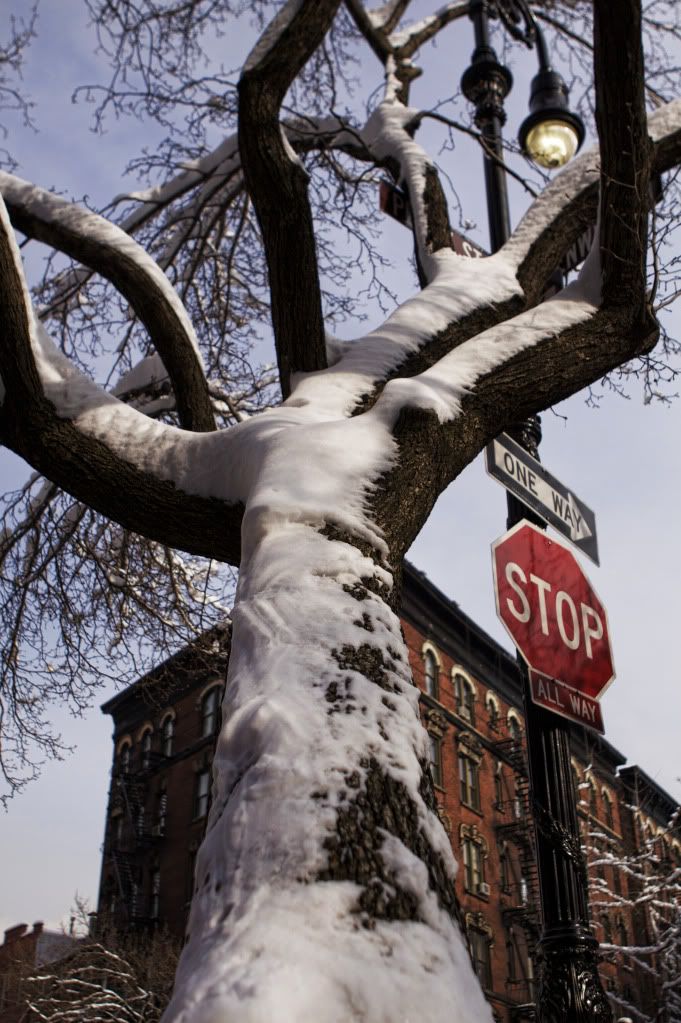 IMAGE: http://i1122.photobucket.com/albums/l534/Nelmahooch/IMG_3975.jpg