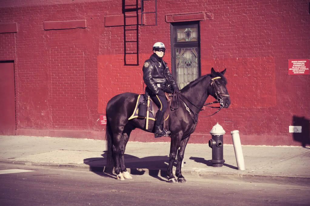 IMAGE: http://i1122.photobucket.com/albums/l534/Nelmahooch/IMG_3995.jpg