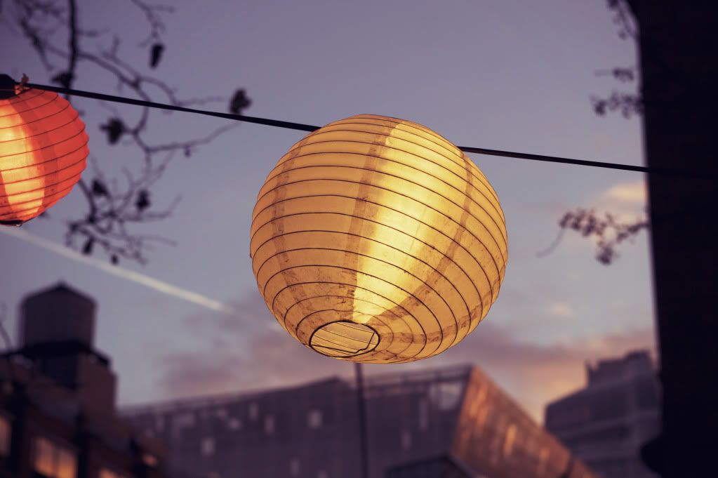 IMAGE: http://i1122.photobucket.com/albums/l534/Nelmahooch/IMG_4085.jpg