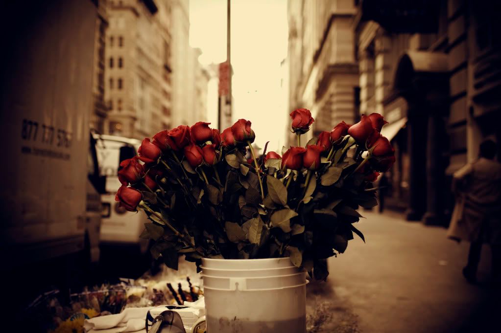 IMAGE: http://i1122.photobucket.com/albums/l534/Nelmahooch/IMG_4765.jpg