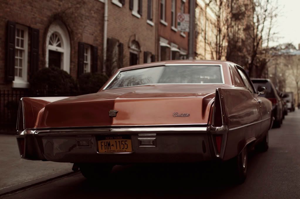 IMAGE: http://i1122.photobucket.com/albums/l534/Nelmahooch/IMG_5217.jpg