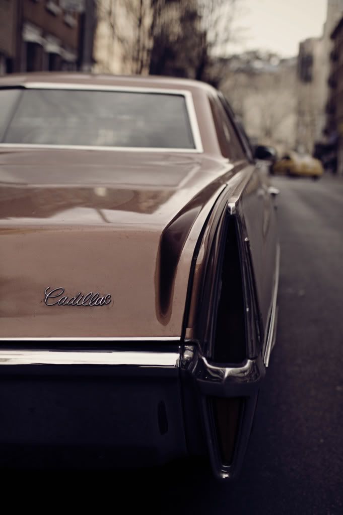 IMAGE: http://i1122.photobucket.com/albums/l534/Nelmahooch/IMG_5219.jpg