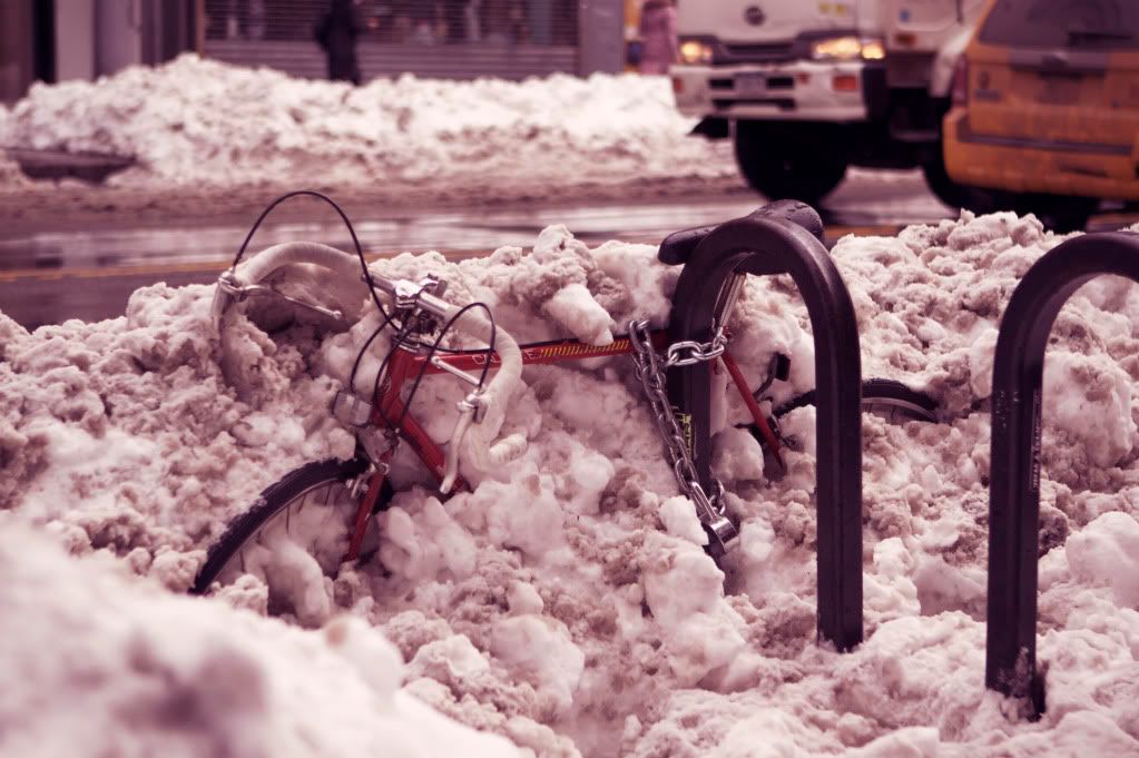 IMAGE: http://i1122.photobucket.com/albums/l534/Nelmahooch/IMG_7884.jpg