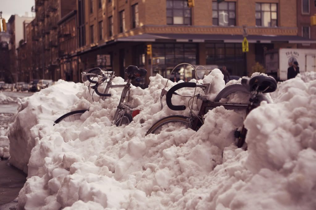 IMAGE: http://i1122.photobucket.com/albums/l534/Nelmahooch/IMG_7938.jpg