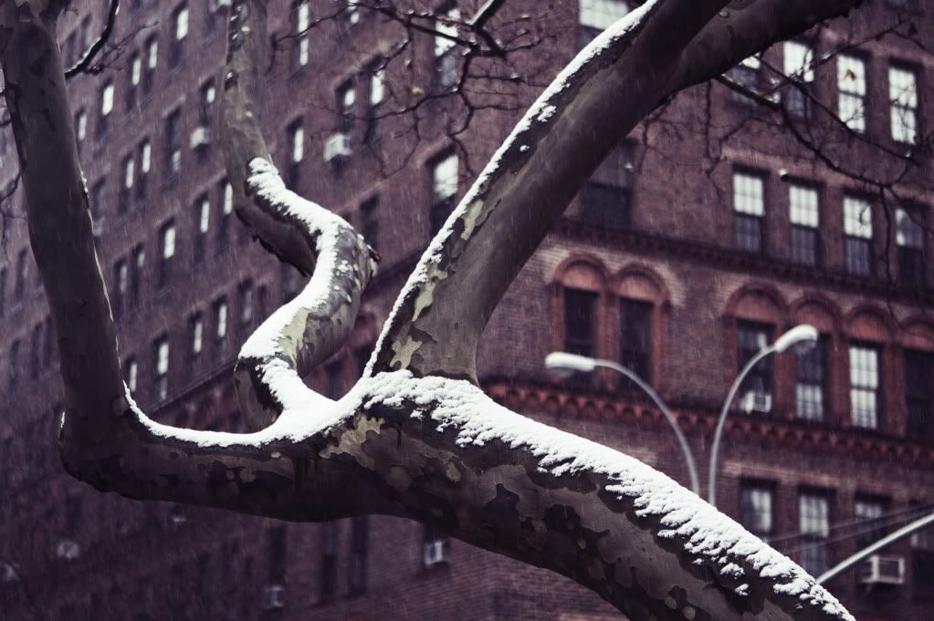 IMAGE: http://i1122.photobucket.com/albums/l534/Nelmahooch/IMG_9220.jpg