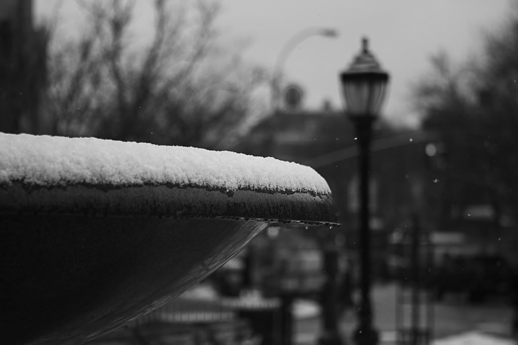 IMAGE: http://i1122.photobucket.com/albums/l534/Nelmahooch/IMG_9338.jpg