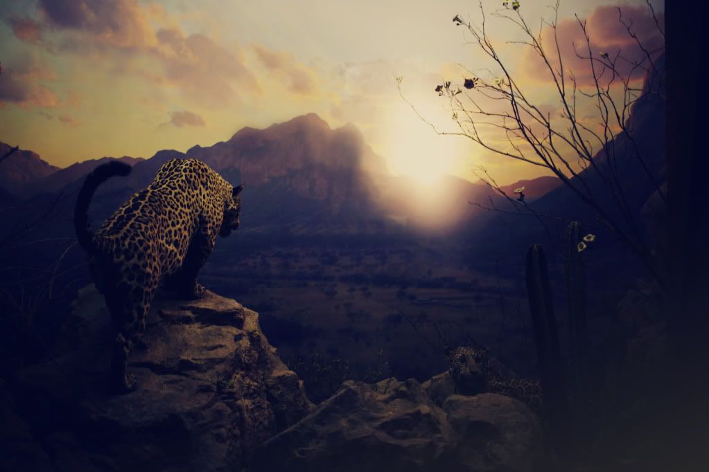 IMAGE: http://i1122.photobucket.com/albums/l534/Nelmahooch/IMG_9820.jpg