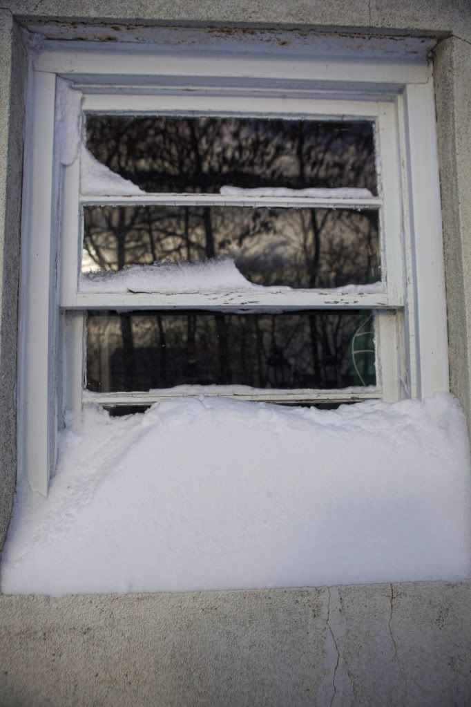 IMAGE: http://i1122.photobucket.com/albums/l534/Nelmahooch/Snowstorm%20Christmas%202010/IMG_7085.jpg