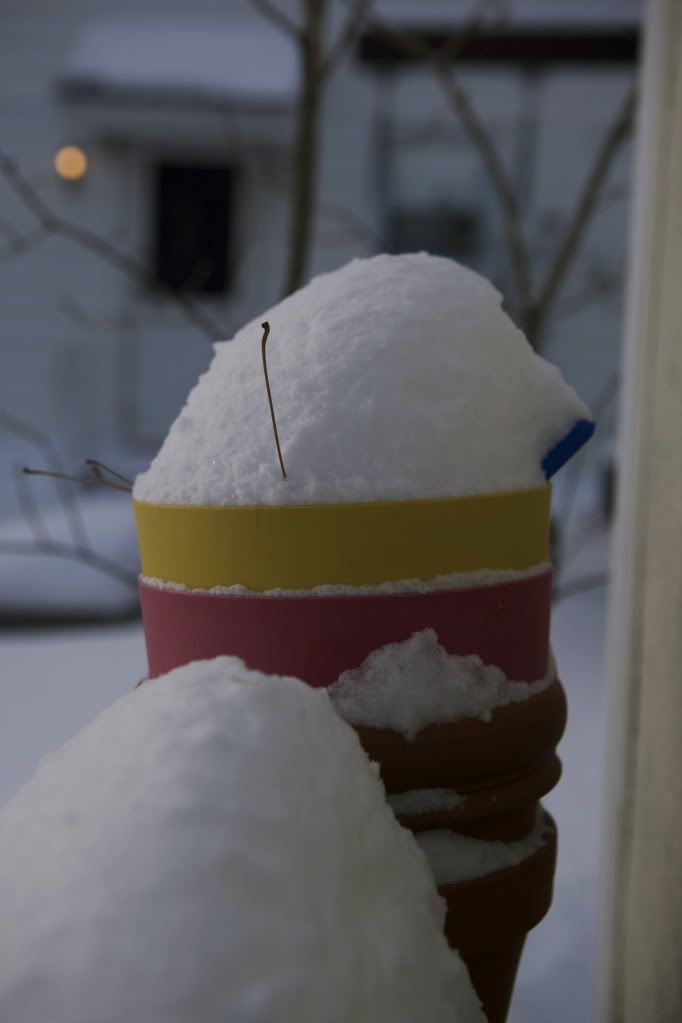 IMAGE: http://i1122.photobucket.com/albums/l534/Nelmahooch/Snowstorm%20Christmas%202010/IMG_7103.jpg