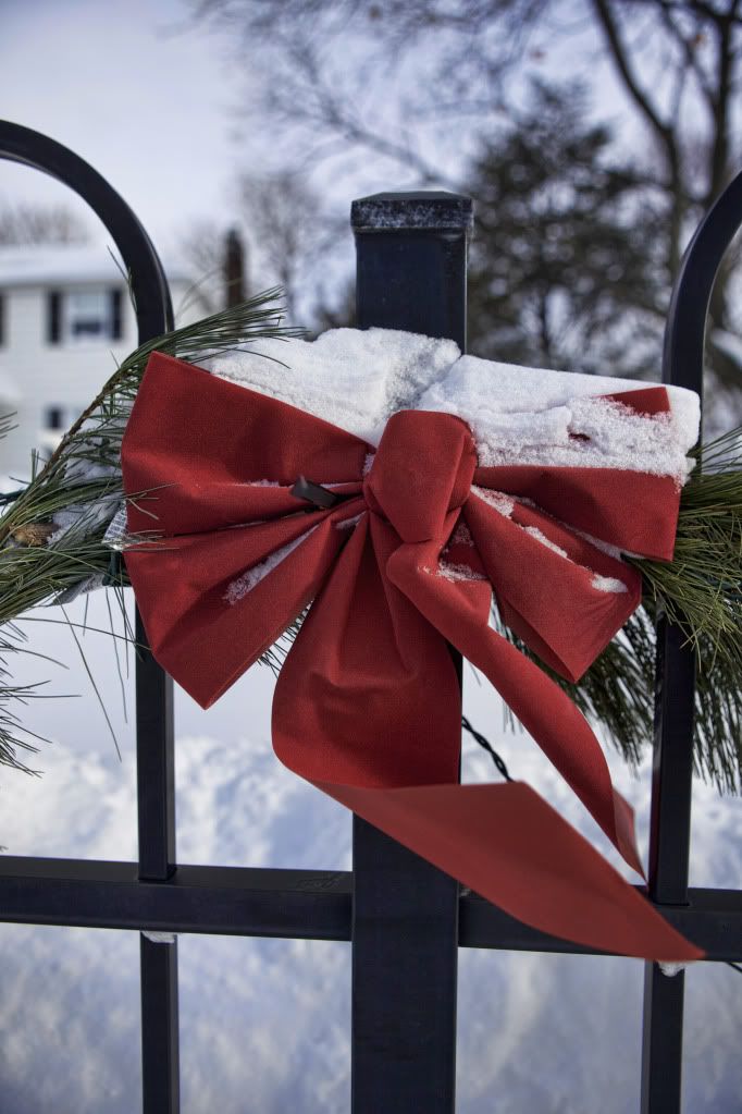 IMAGE: http://i1122.photobucket.com/albums/l534/Nelmahooch/Snowstorm%20Christmas%202010/IMG_7186.jpg