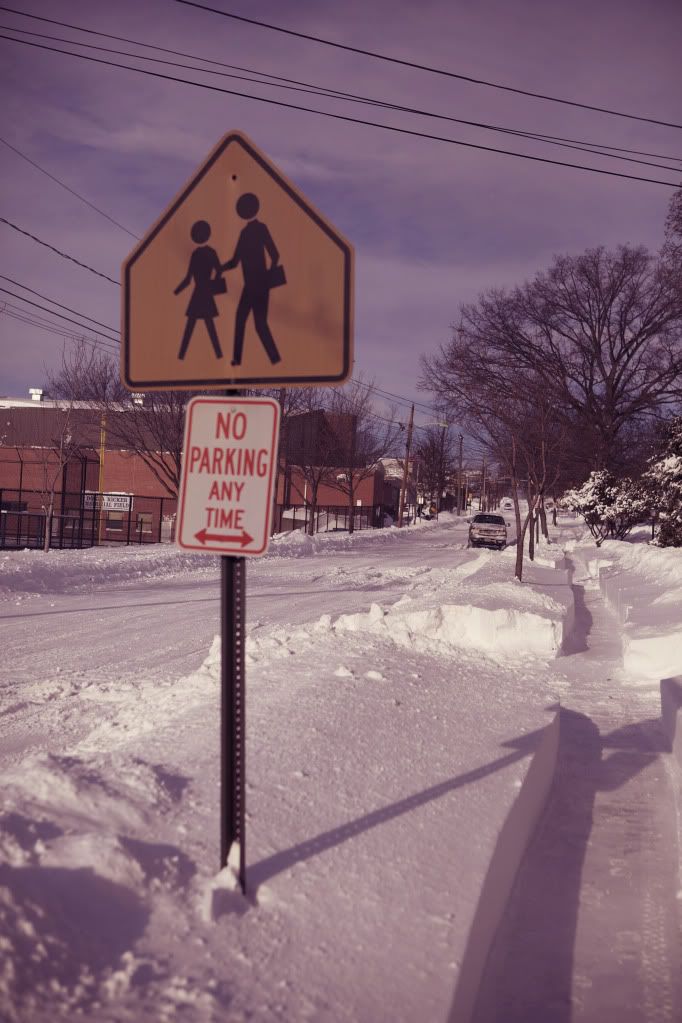 IMAGE: http://i1122.photobucket.com/albums/l534/Nelmahooch/Snowstorm%20Christmas%202010/IMG_7196.jpg