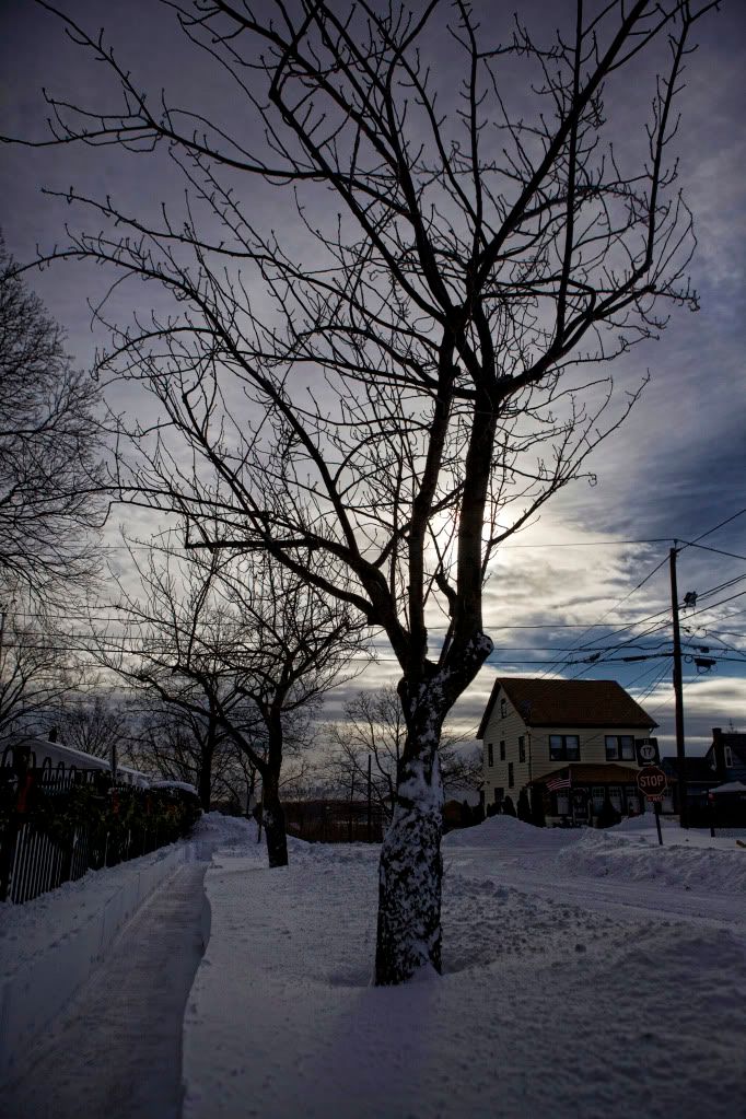 IMAGE: http://i1122.photobucket.com/albums/l534/Nelmahooch/Snowstorm%20Christmas%202010/IMG_7264.jpg