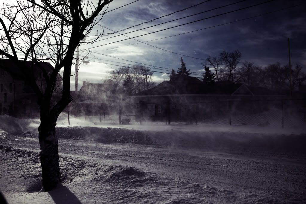 IMAGE: http://i1122.photobucket.com/albums/l534/Nelmahooch/Snowstorm%20Christmas%202010/IMG_7304.jpg