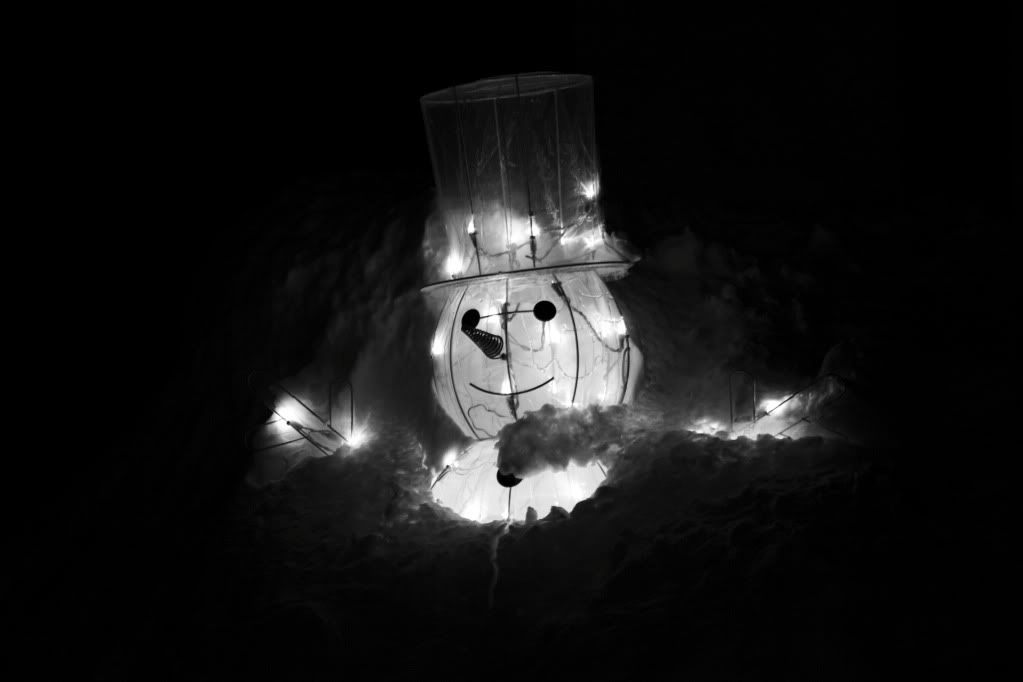 IMAGE: http://i1122.photobucket.com/albums/l534/Nelmahooch/Snowstorm%20Christmas%202010/IMG_7668.jpg