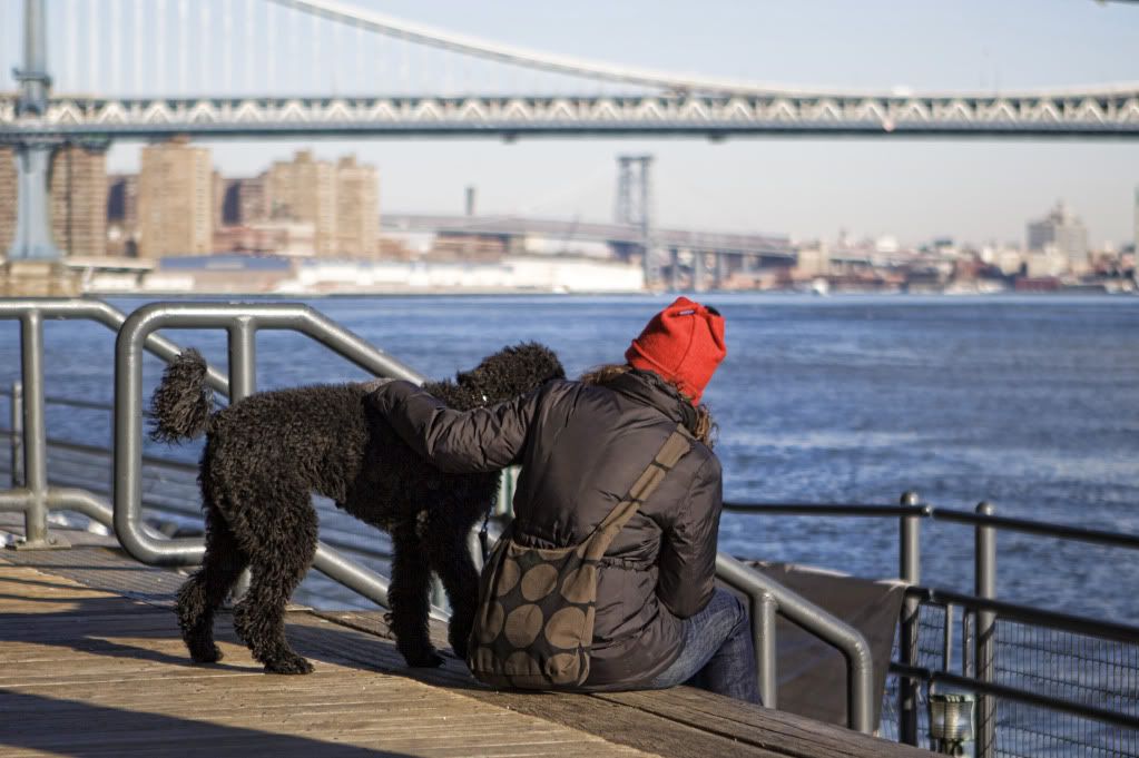 IMAGE: http://i1122.photobucket.com/albums/l534/Nelmahooch/Winter%202011/IMG_0697.jpg