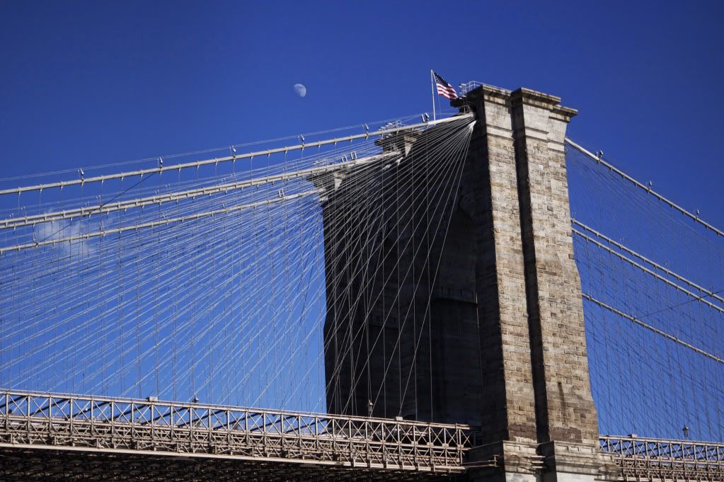 IMAGE: http://i1122.photobucket.com/albums/l534/Nelmahooch/Winter%202011/IMG_0734.jpg